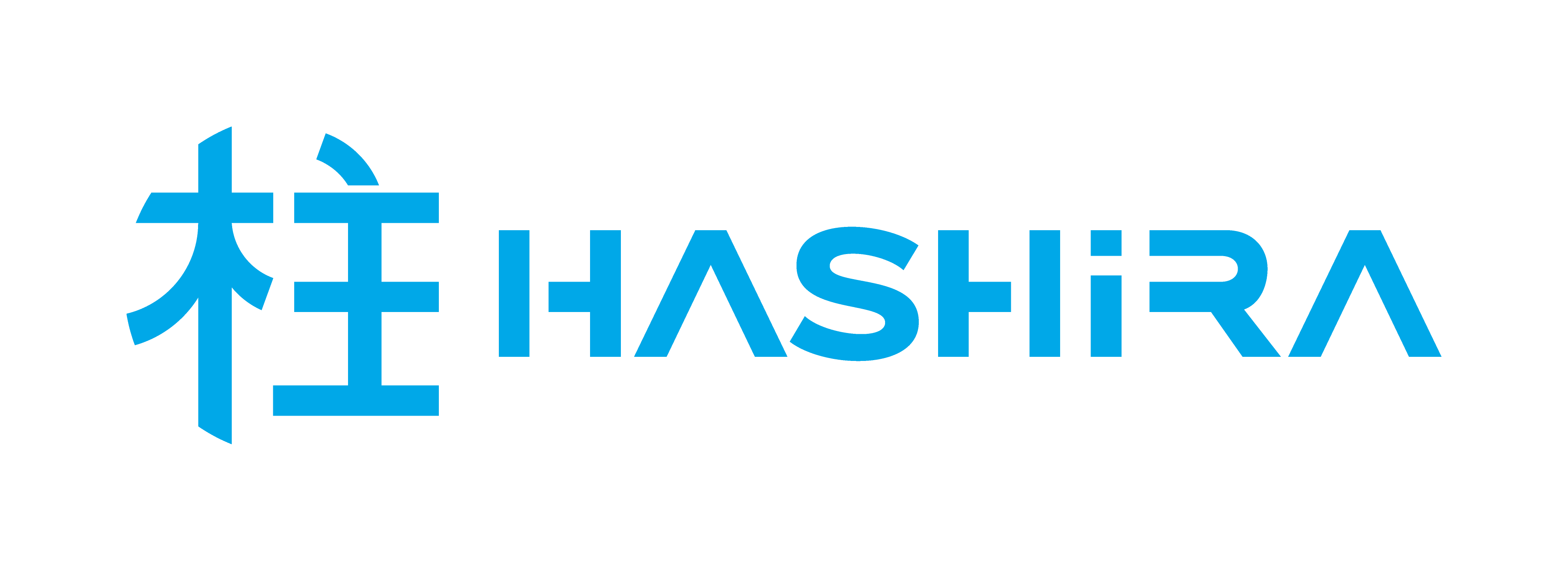 Hashira Consulting